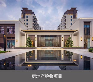 PSH二層升降橫移類好色先生视频下载設備房地產驗收項目
